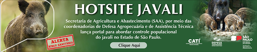 Hot Site Javali