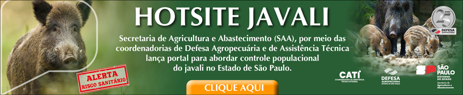 Hot Site Javali